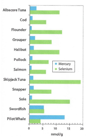 selenium-mecury-article